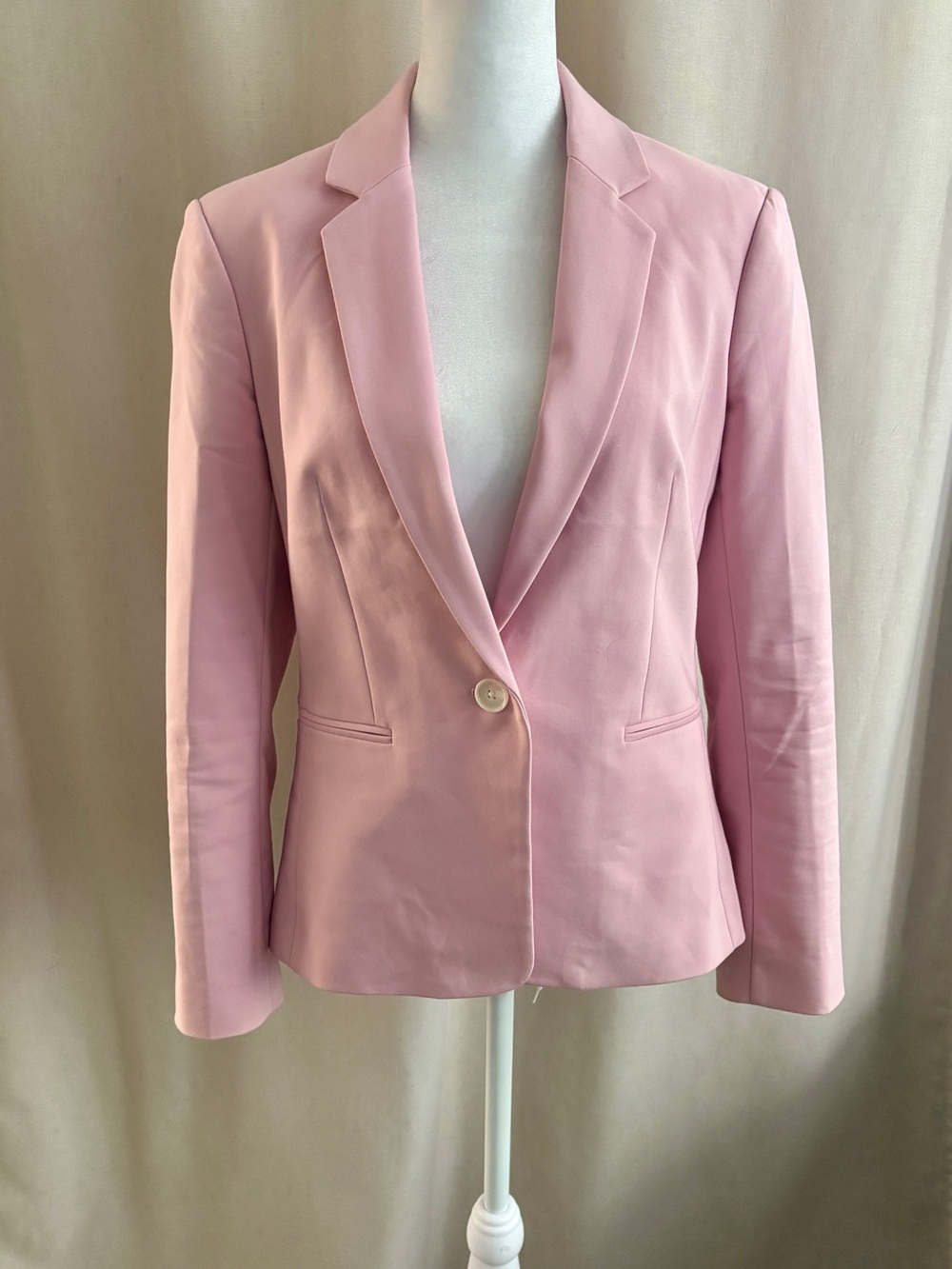 Express Pink Suit — Blazer & Columnist Ankle Pants | 8